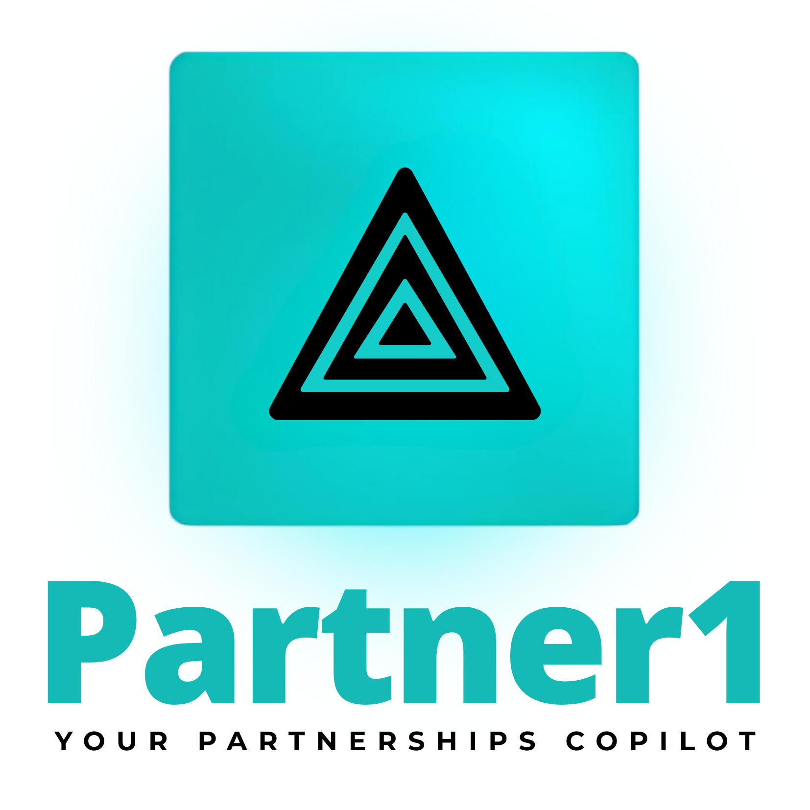 Partner1 Logo