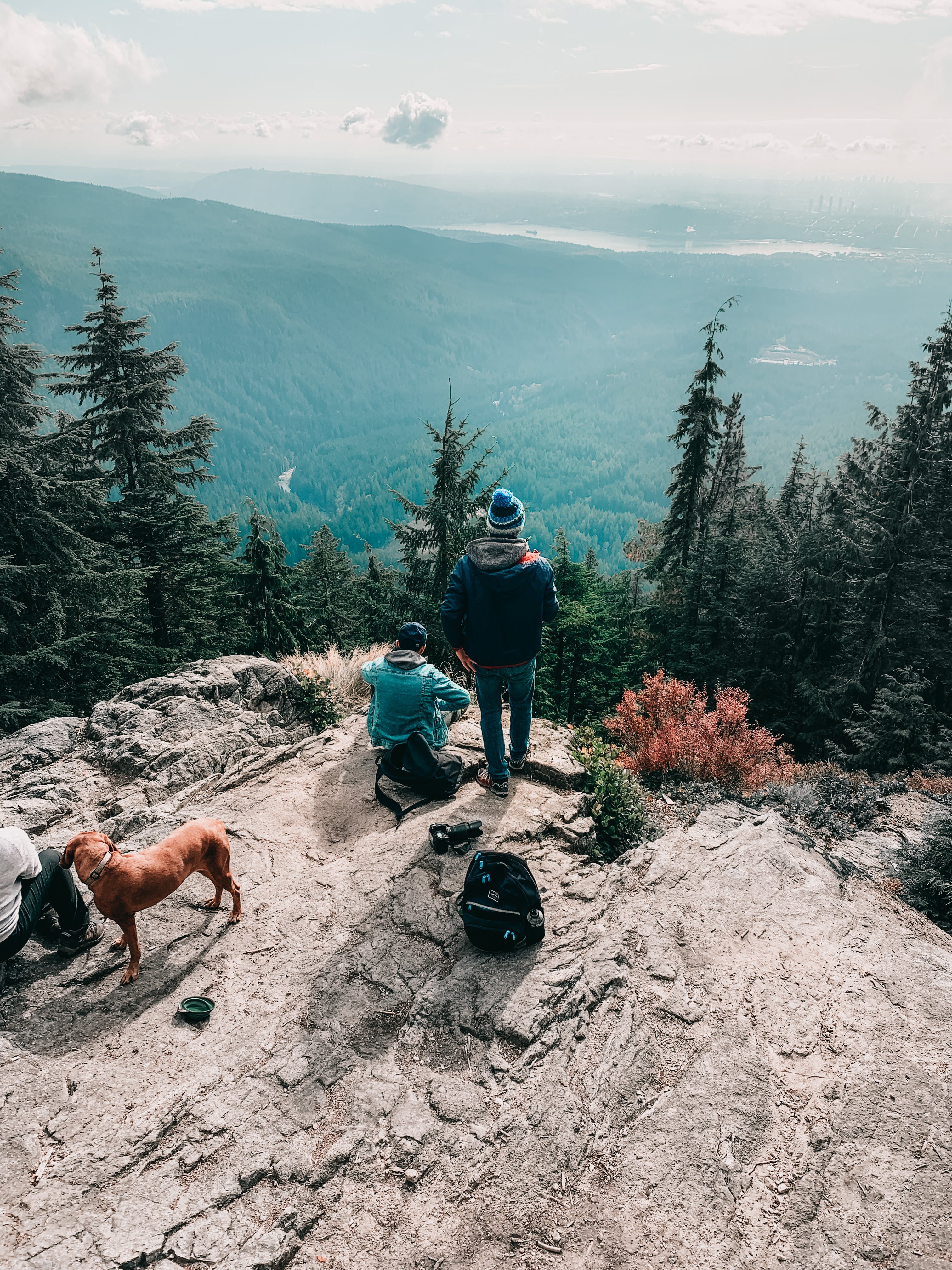couple with dog looking down from a mountain